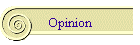 Opinion